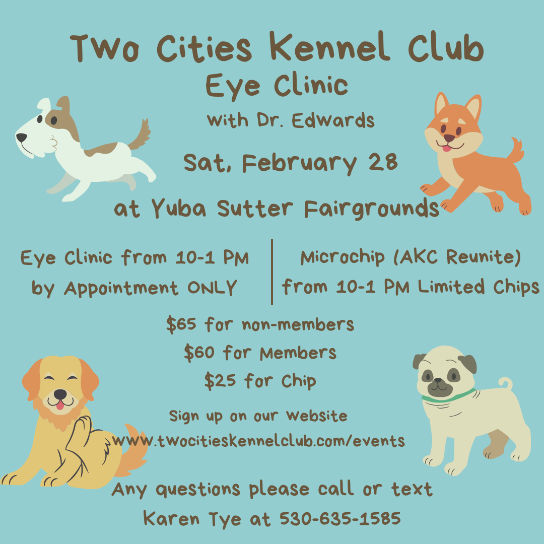Eye Clinic & Microchip